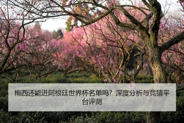 梅西还能进阿根廷世界杯名单吗？深度分析与竞猜平台评测
